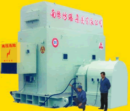 TAW系列增安型無刷勵(lì)磁同步電動(dòng)機(jī)